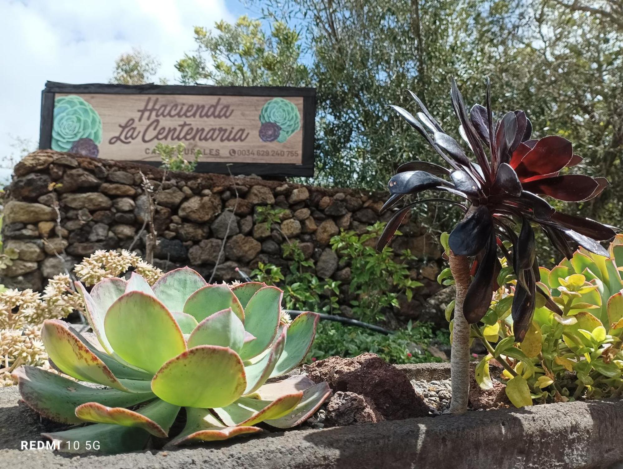 Hacienda La Centenaria,Casas Rurales El Paso Luaran gambar